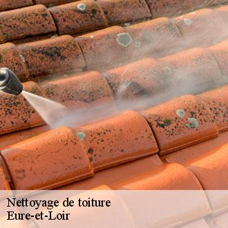 Nettoyage de toiture 28 Eure-et-Loir Toiture Pro 28