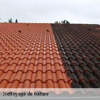 Nettoyage de toiture 28 Eure-et-Loir Toiture Pro 28