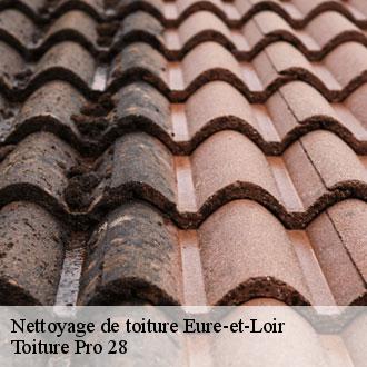 Nettoyage de toiture 28 Eure-et-Loir Toiture Pro 28