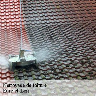 Nettoyage de toiture 28 Eure-et-Loir Toiture Pro 28