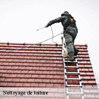 Nettoyage de toiture 28 Eure-et-Loir Toiture Pro 28
