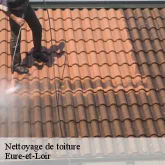 Nettoyage de toiture 28 Eure-et-Loir Toiture Pro 28