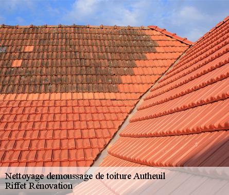 Nettoyage demoussage de toiture  autheuil-28220 Riffet Rénovation