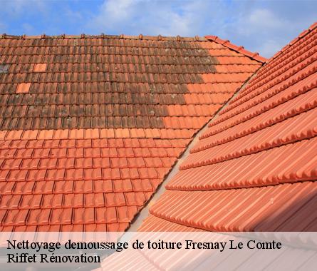 Nettoyage demoussage de toiture  fresnay-le-comte-28360 Riffet Rénovation