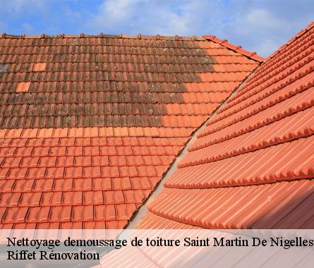 Nettoyage demoussage de toiture  saint-martin-de-nigelles-28130 Riffet Rénovation